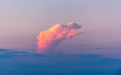 孤勇者的演奏视频