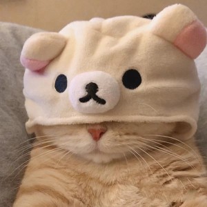 jiejie的钢琴谱