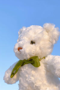 玫瑰少年的演奏视频