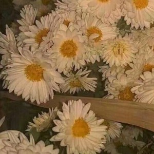 明日坐标的演奏视频