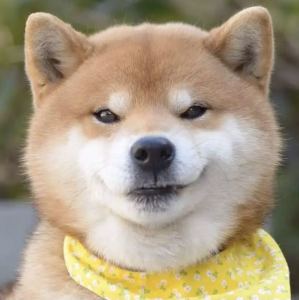 共产儿童团歌的演奏视频