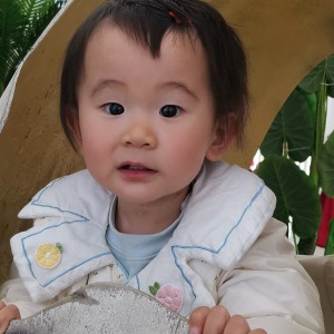 起风了的演奏视频