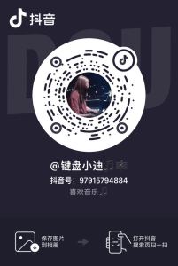 的演奏视频
