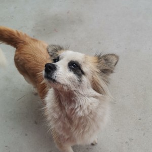 美丽的神话的演奏视频