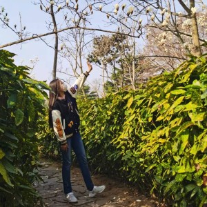 落日与晚风的演奏视频