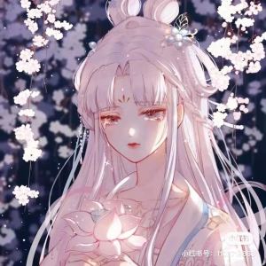 8级B组-练习曲的演奏视频