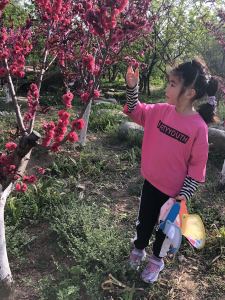 庆翻身的演奏视频