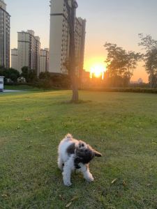 Happy（蒋东庭）的个人空间