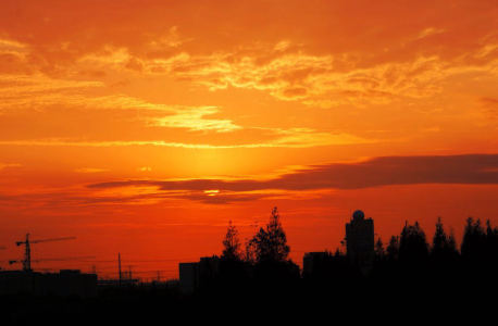 starfish的个人空间