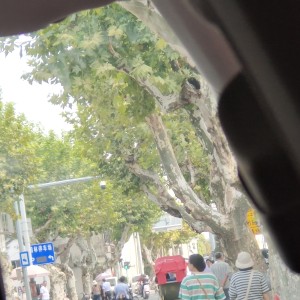 如愿的演奏视频