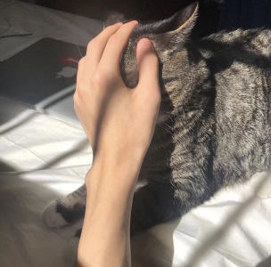 咸鱼絔絔的钢琴谱