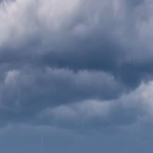 君をのせて的演奏视频