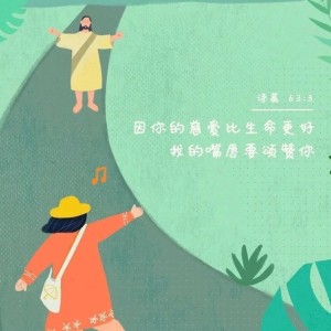 的演奏视频