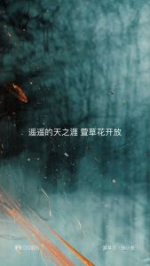 小乐乐的个人空间