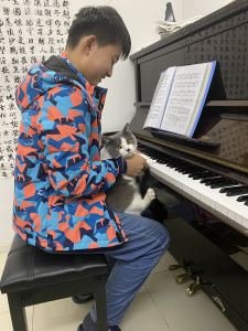 樱花的演奏视频