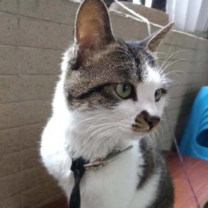 夜的钢琴曲五的演奏视频