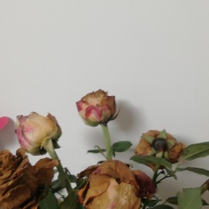 无限闪电（四级）的钢琴谱