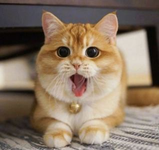 852****2003的钢琴谱