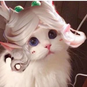 Flower Dance的演奏视频