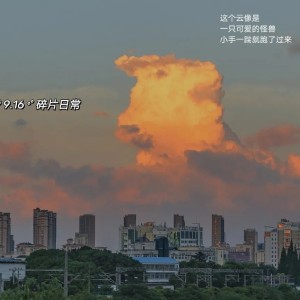 Echo的钢琴谱