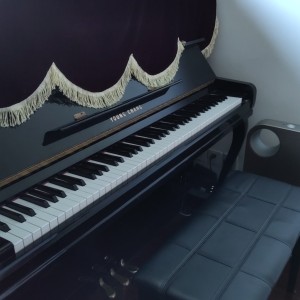 Croatian Rhapsody的演奏视频