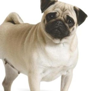 钢琴NB者的个人空间