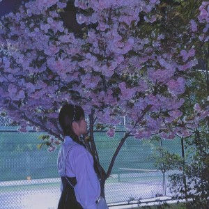 Rebound的演奏视频