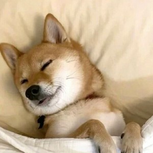 灰色与青的钢琴谱