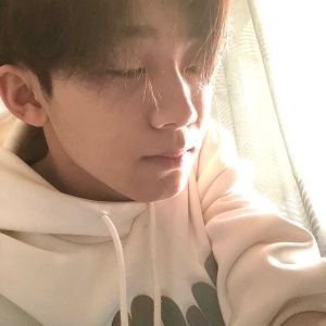 Born a Stranger的演奏视频