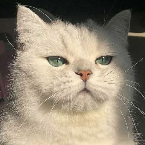 Doctor异乡人的演奏视频