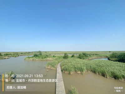 Jason Gu的钢琴谱