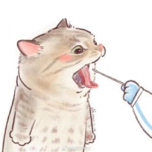 玟坨3300的钢琴谱
