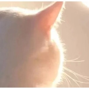 Wonderful U的演奏视频