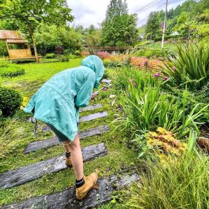 安静的演奏视频