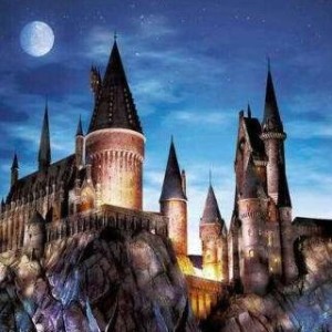 随想的演奏视频