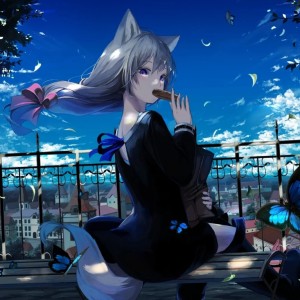 KD_Searching的演奏视频