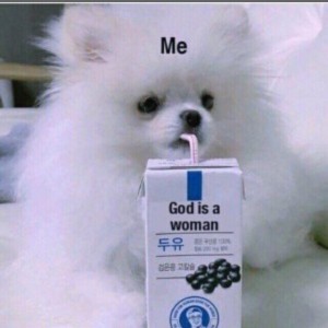 狗狗的钢琴谱