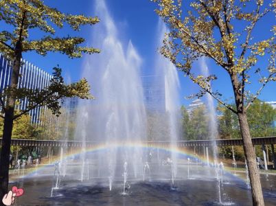 孤勇者的演奏视频