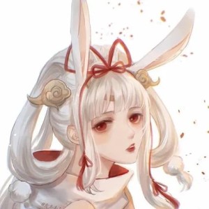 献给爱丽丝的演奏视频