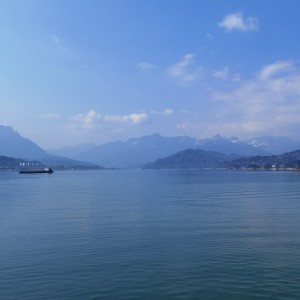 小红帽的演奏视频