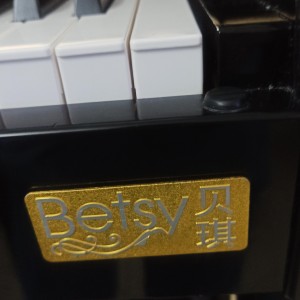 孤勇者的演奏视频