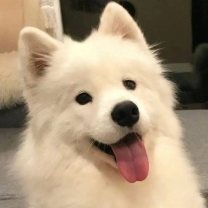 千千阙歌的演奏视频