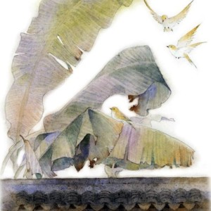 Normal No More的演奏视频