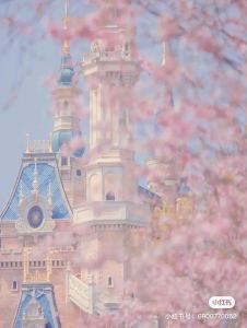 梦中的婚礼的演奏视频