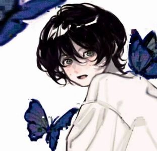 的演奏视频