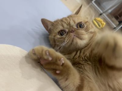 仙女姐姐的个人空间