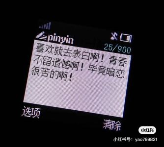 如愿的演奏视频