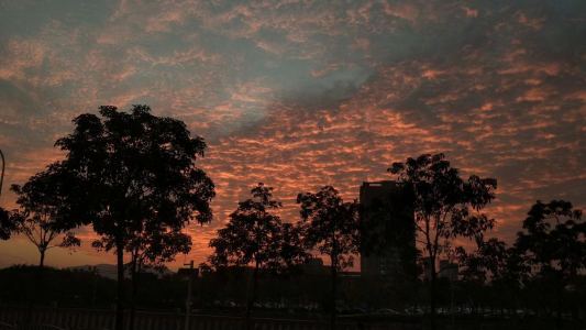 溯 (Reverse)的演奏视频