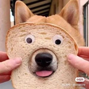 修诺子的钢琴谱