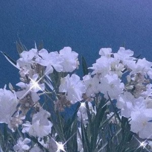 春よ、来い的演奏视频